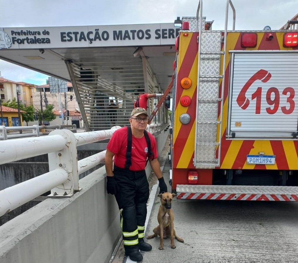 Bombeiro posa para foto com cão na estação Matos Serra