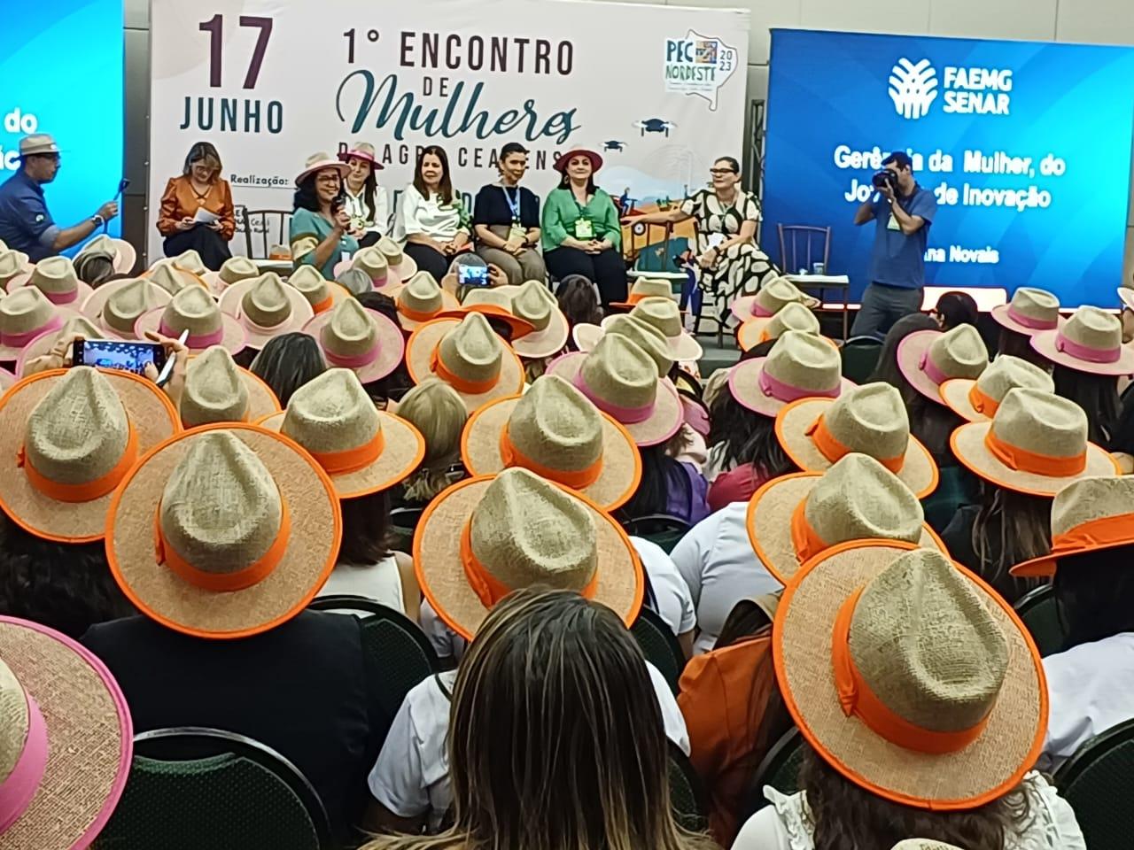 Protagonismo feminino no Direito cearense - Colaboradores - Diário do  Nordeste