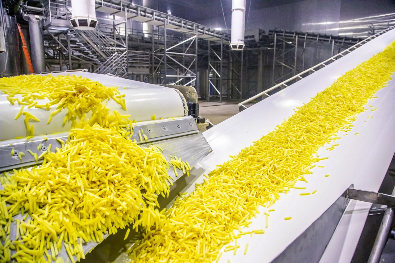 Brasileiro consome cerca de 3,5 kg de batata por ano