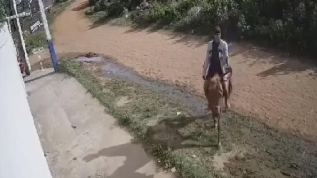 Homem assalta mulher em cima de um cavalo no Crato