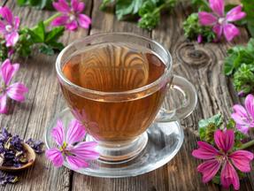 Chá de malva com flores frescas de malva sylvestris em uma mesa