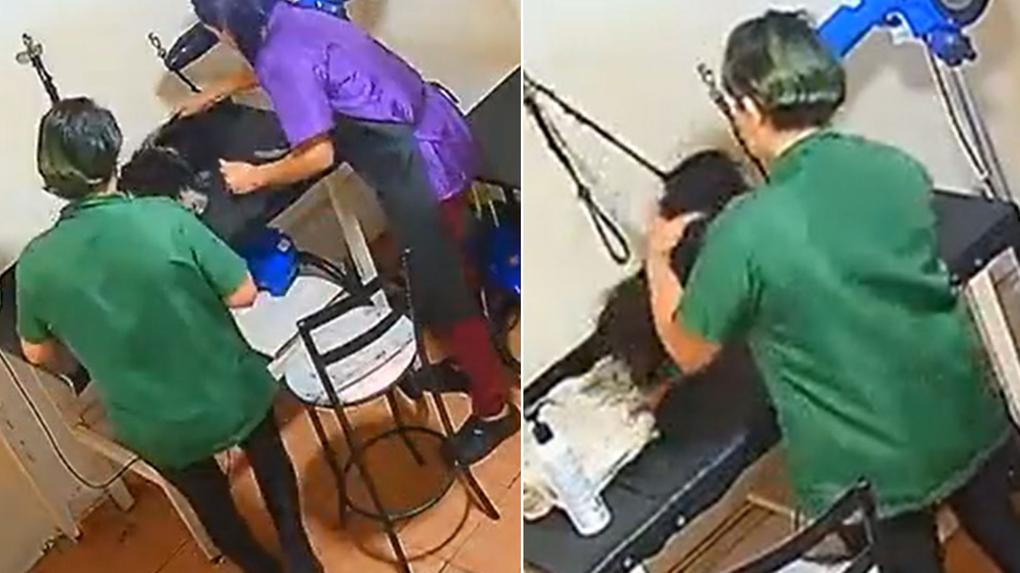 Cadela é agredida por funcionárias em pet shop em Goiânia