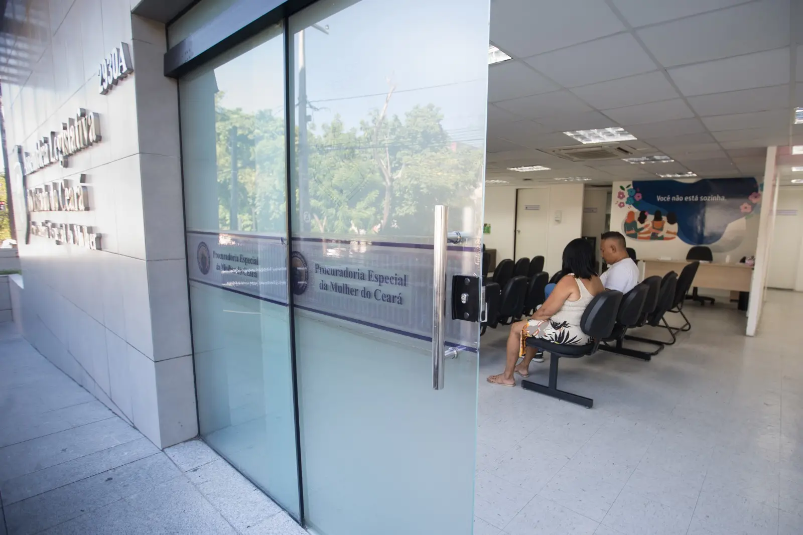 Procuradoria da Mulher