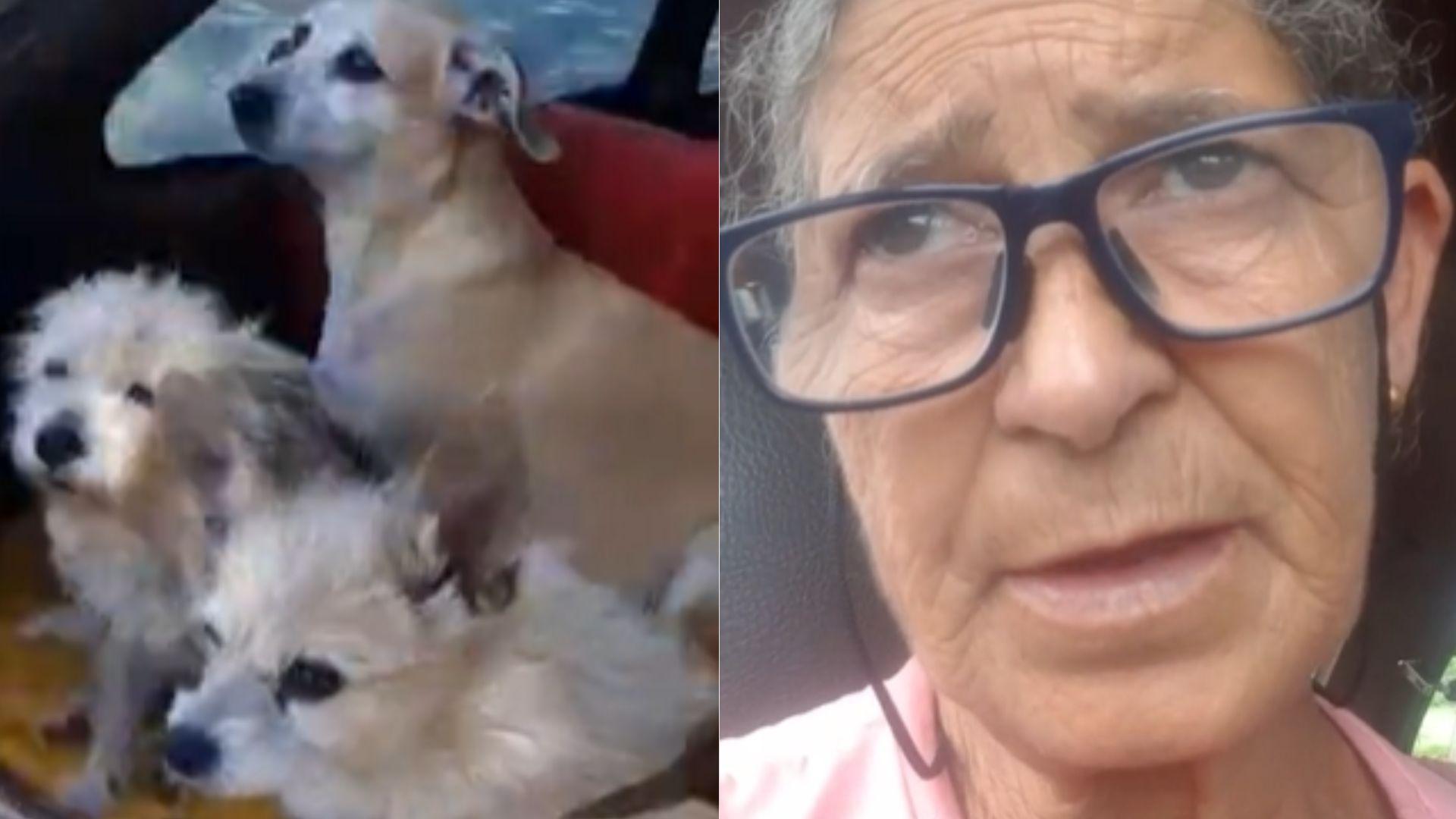 Ederly Vieira e seus 16 cachorros