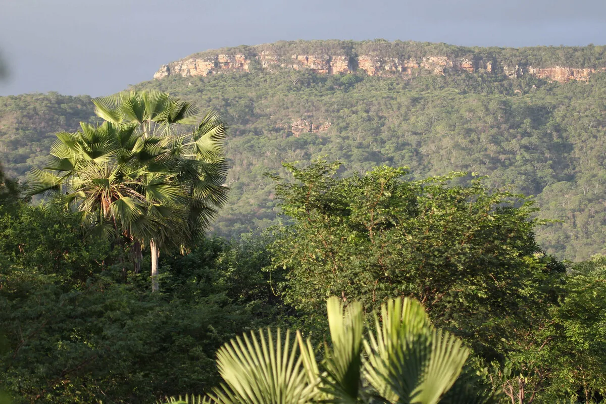 Reserva Natural Serra das Almas, em Crateús, no Ceará