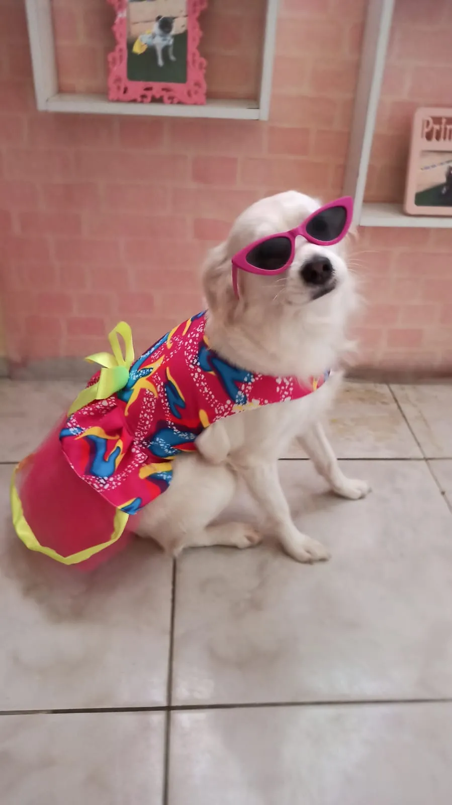 Alisson fez roupas inspiradas no filme da Barbie