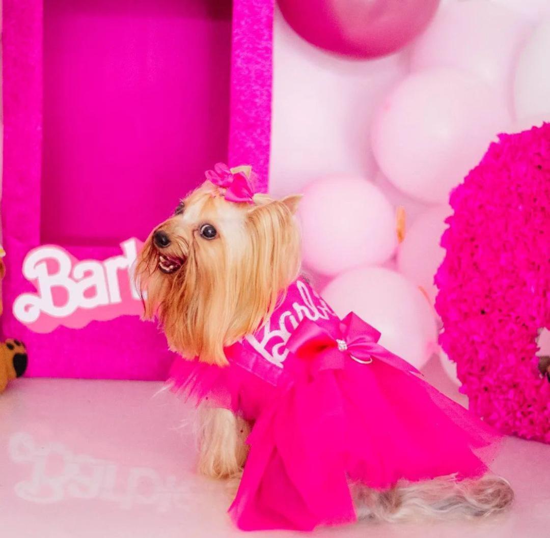Roupas rosa inspiradas na barbie para moda feminina