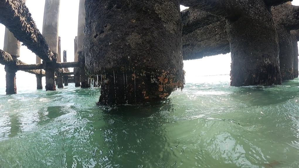 Imagens mostram pilares da Ponte dos Ingleses deterioradas e tomadas por organismos marinhos