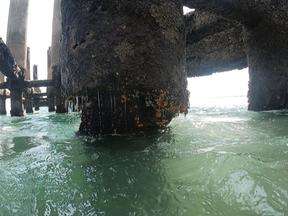 Imagens mostram pilares da Ponte dos Ingleses deterioradas e tomadas por organismos marinhos
