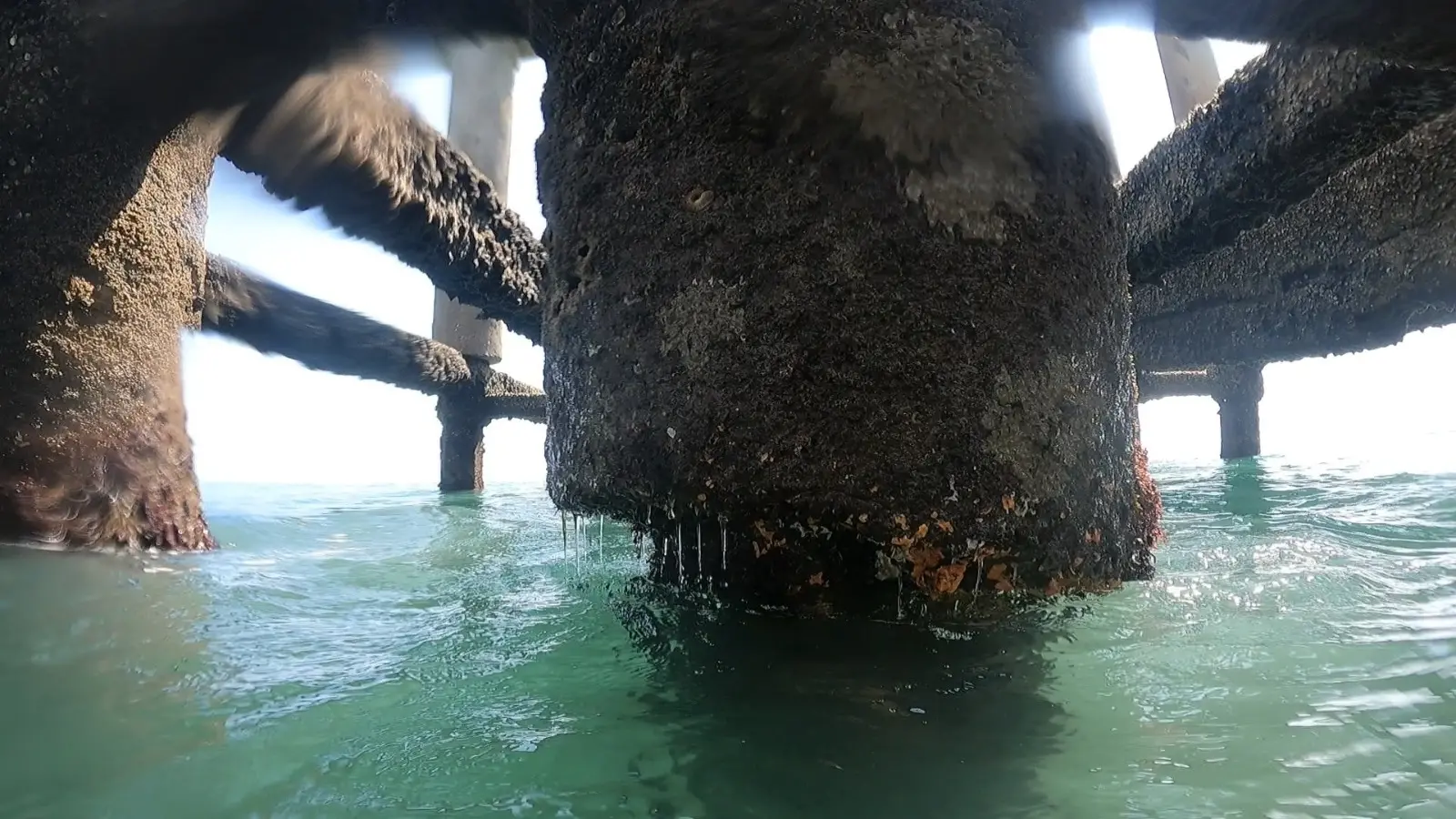 Estrutura está tomada por organismos marinhos e corre risco de colapso