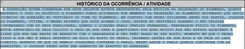 Imagem mostra print com um boletim de ocorrência