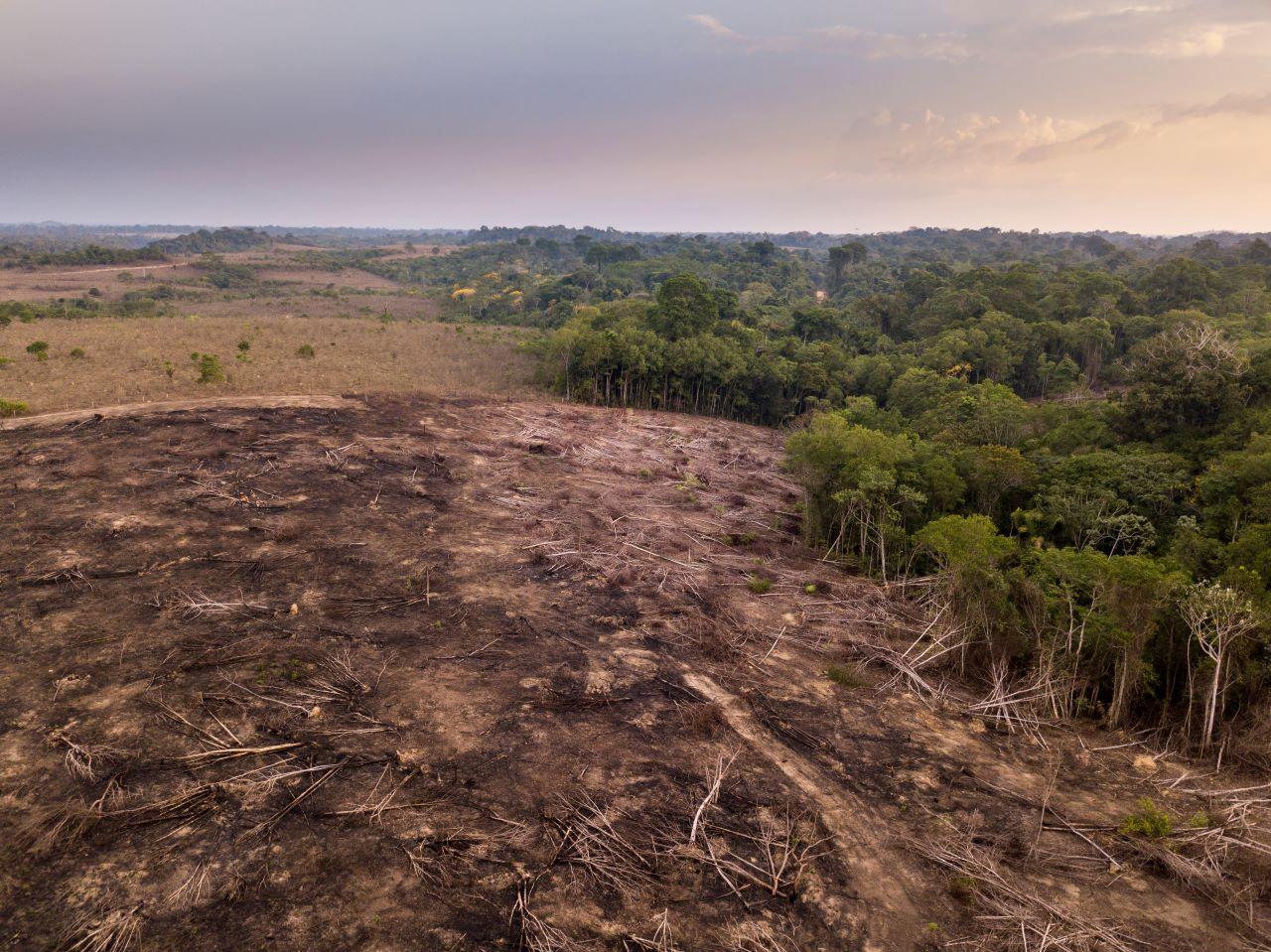 imagem aérea mostra área desmatada na floresta amazônica