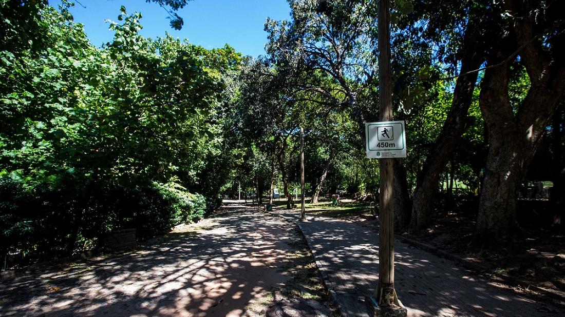 Governo do Ceará inaugura Bosque do Bom Viver no Parque do Cocó - Governo  do Estado do Ceará