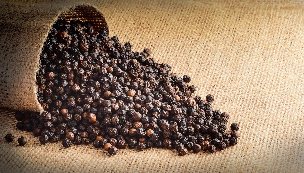 Paciente com quadro de gastrite, úlceras, hemorroida e fissuras devem evitar a ingestão do alimento