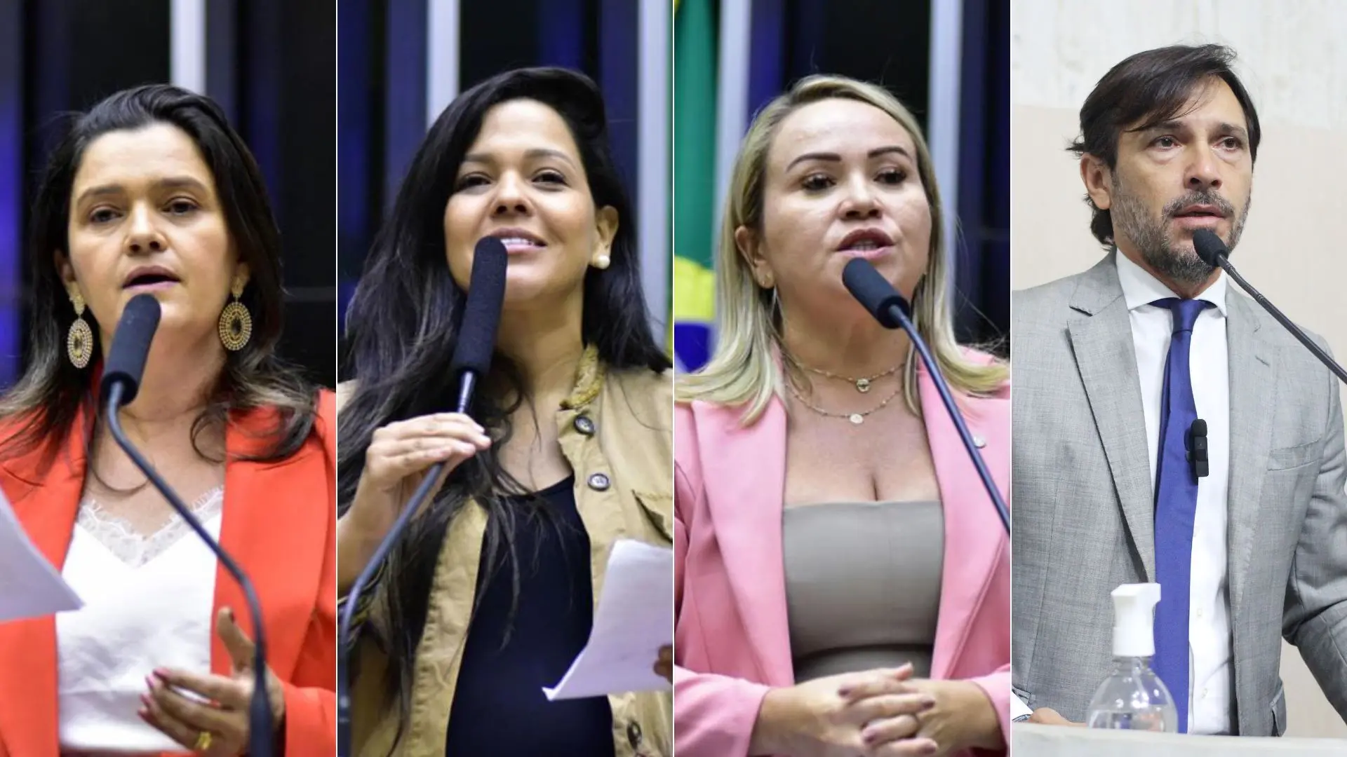 Vereadores e Deputados