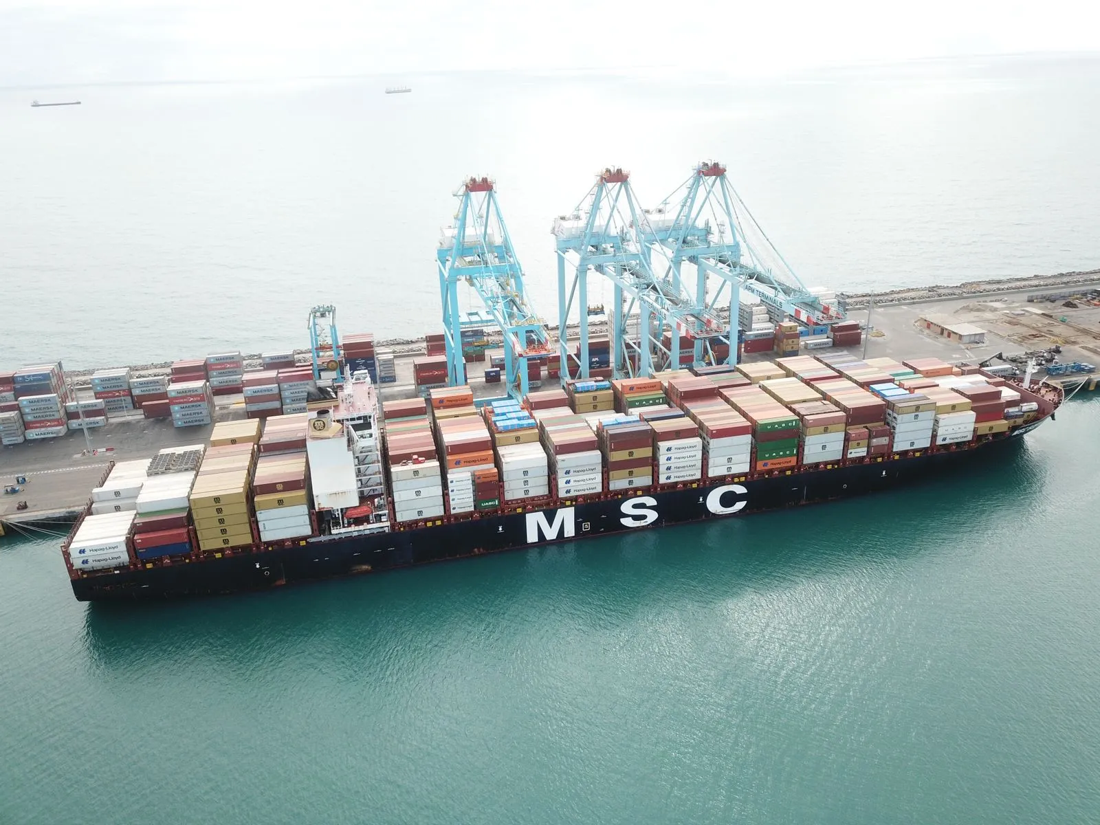 Nessa viagem inicial com o MSC Sofia Celeste, estão sendo embarcados aproximadamente 100 contêineres refrigerados (reefers) de 40 pés, o equivalente a 200 TEU´s (unidade equivalente a um contêiner de 20 pés)