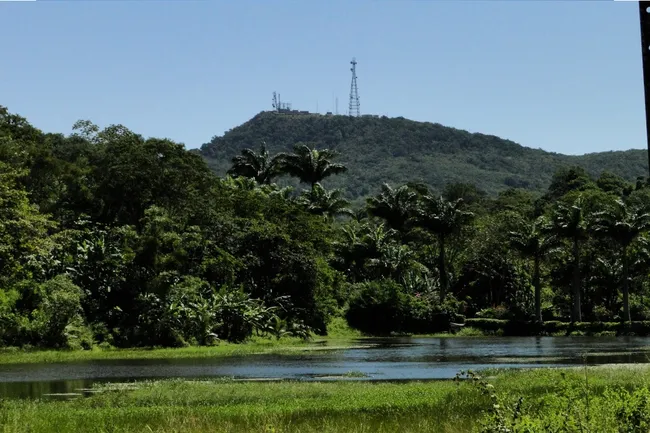 Área de Proteção Ambiental da Serra de Baturité, no Ceará