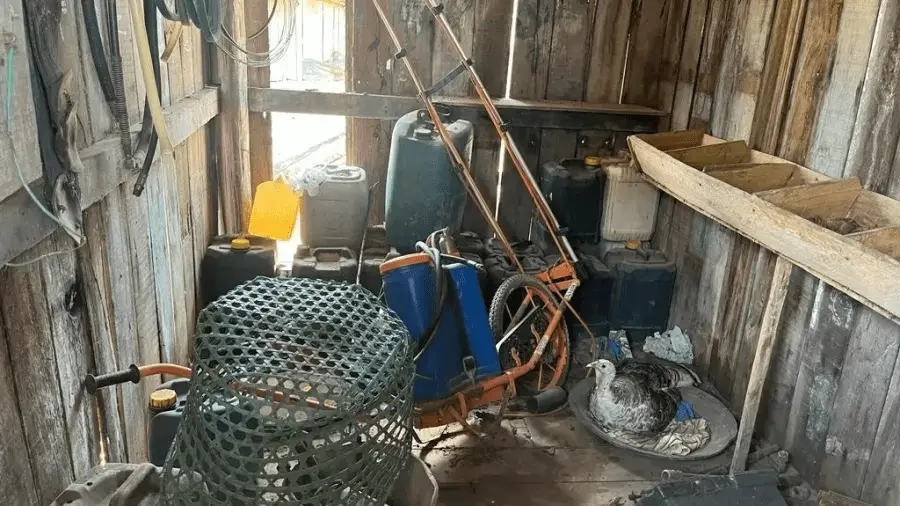 Polícia Federal, trabalho análogo à escravidão, resgate