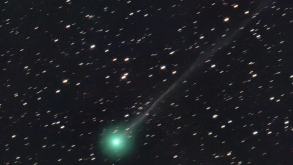 Recém-descoberto, cometa Nishimura poderá ser visto no Brasil ao longo do  mês, Ciência