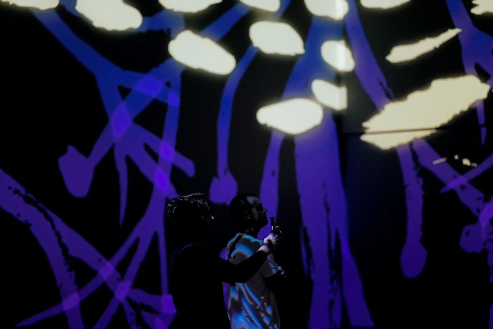 Instalação passeia por períodos artísticos, técnicas e linguagem de Chico da Silva