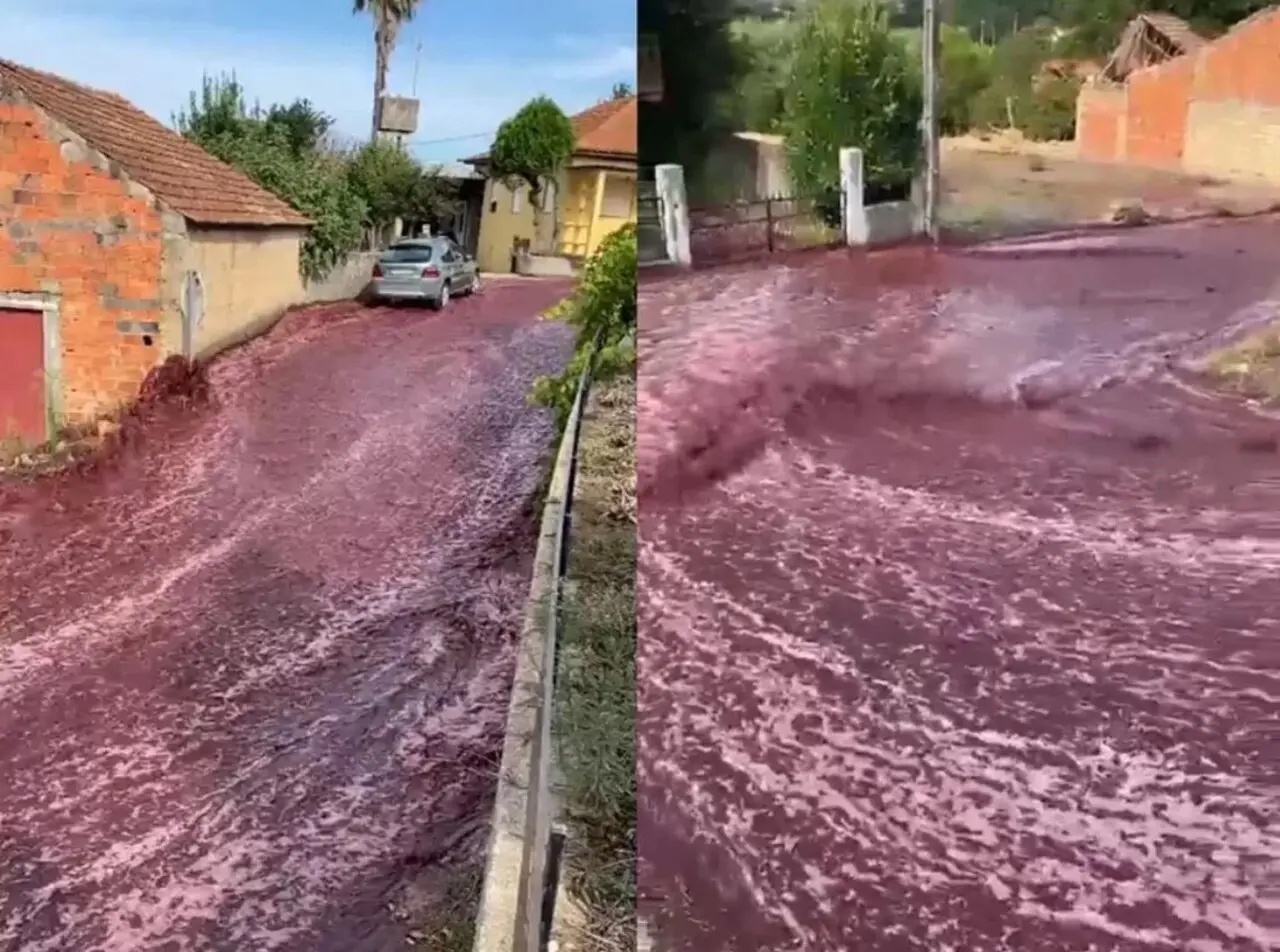 Imagem da notícia: 'Rio de vinho tinto' inunda cidade de Anadia, em Portugal, após depósitos estourarem; veja vídeo