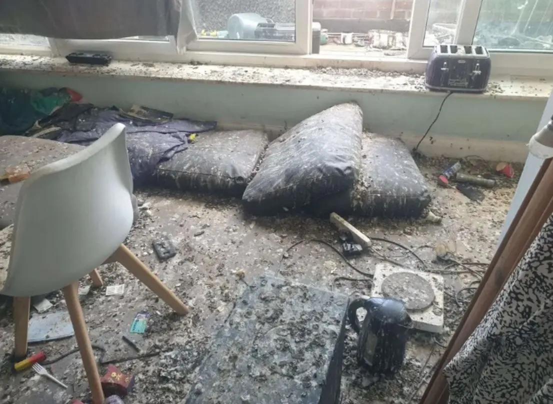 Imagem da notícia: Pombos dão prejuízo de R$ 92 mil após invadirem apartamento em Londres