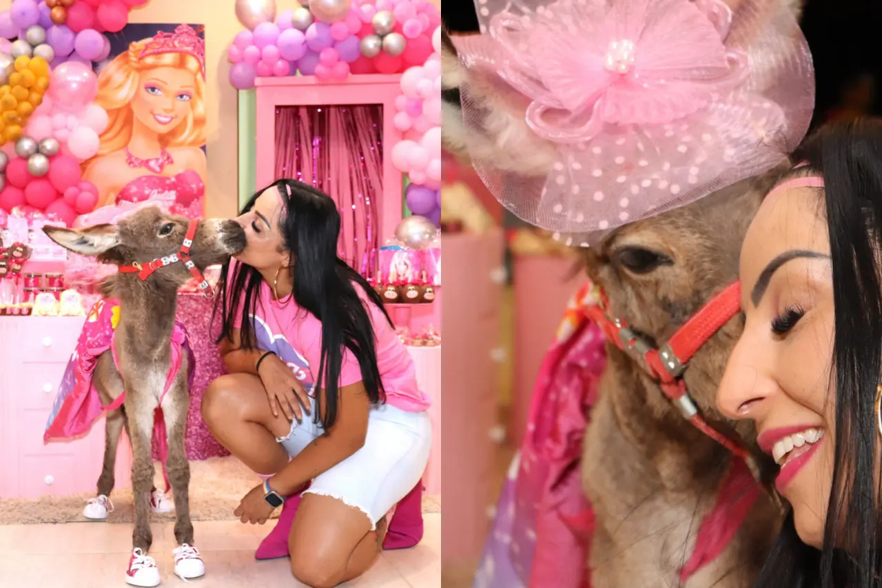 fotos do aniversário da jumenta judith no ceará