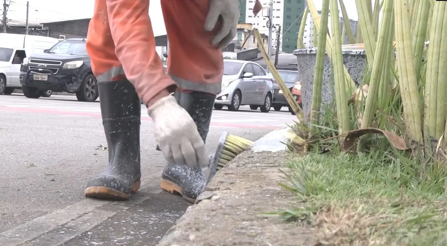 Os trabalhos também incluem pintura de passeios e plantio de mudas