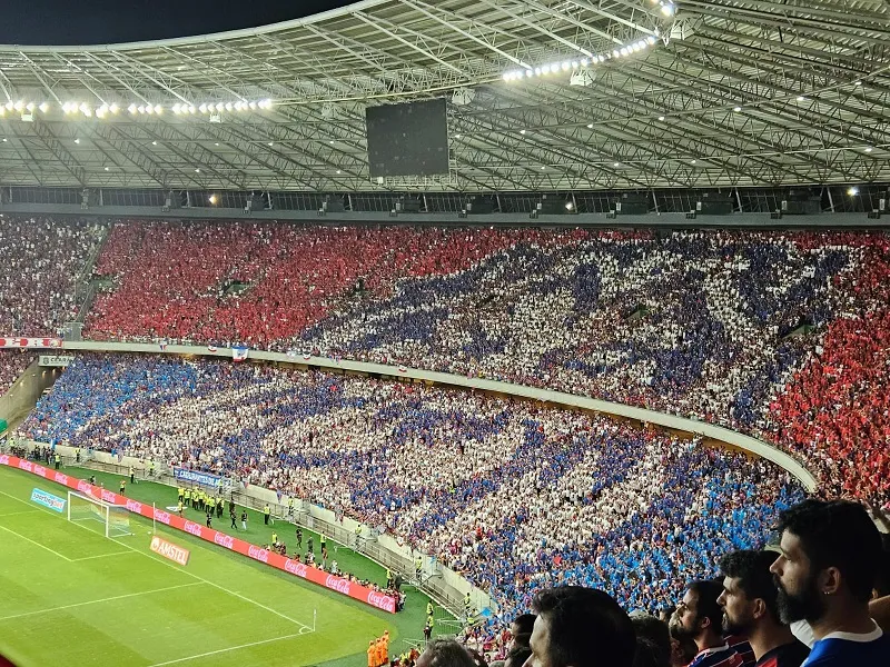 Tricolores prepararam mosaico com a temática Dragon Ball