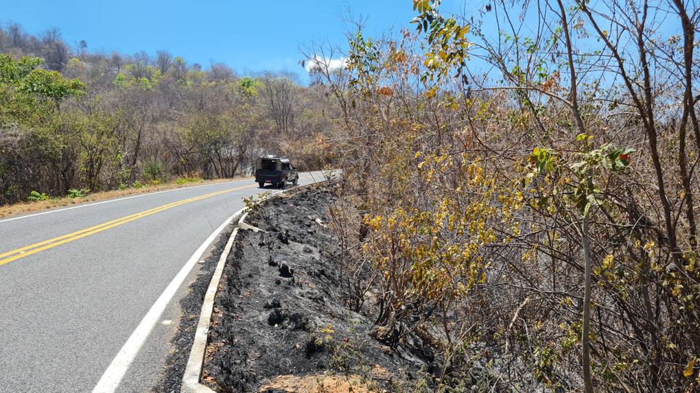 Ceará tem risco de incêndios em mais de 90 cidades do interior