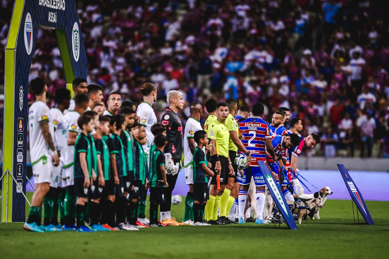 Cachorros acompanharam os jogadores do Fortaleza na entrada em campo.