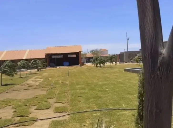 Gramado no entorno de casa principal