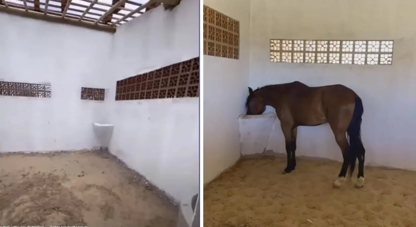 Espaço para cavalos em sítio de João Gomes