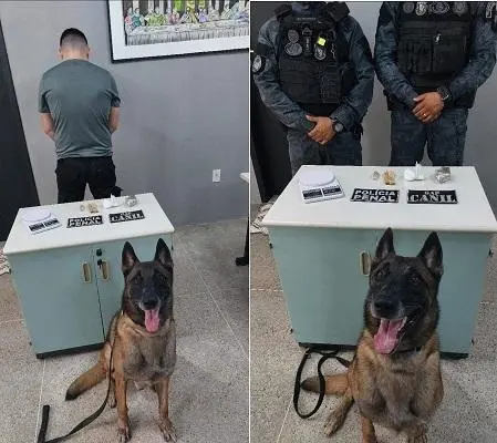 Foi um cão que sinalizou que Victor Mateus estava na posse de drogas, ao farejar o agente e sentar no chão