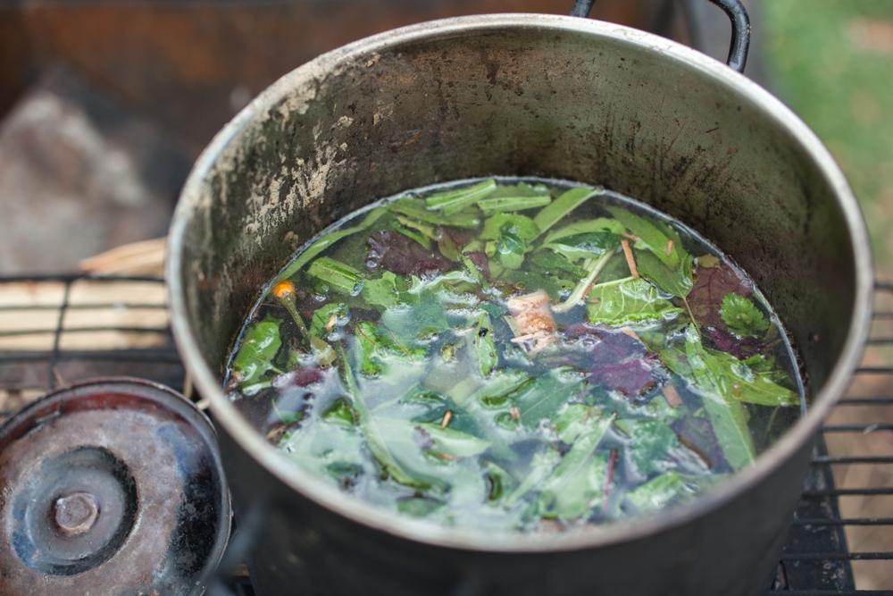 Como uma pesquisa cearense com ch de ayahuasca pode contribuir no