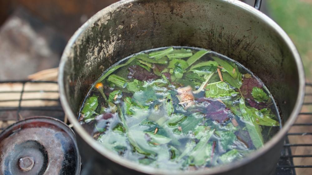 Substâncias presentes no chá de ayahuasca, como a DMT, contribuíram para reverter sintomas depressivos durante testes em animais