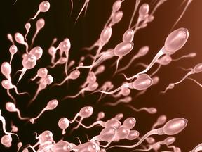 Imagem genérica de vários espermatozoides