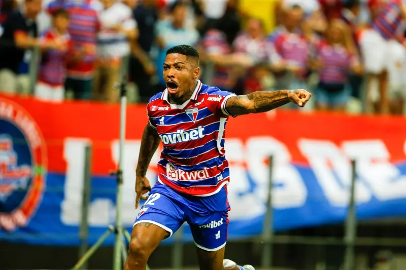 Imagem mostra marinho em campo