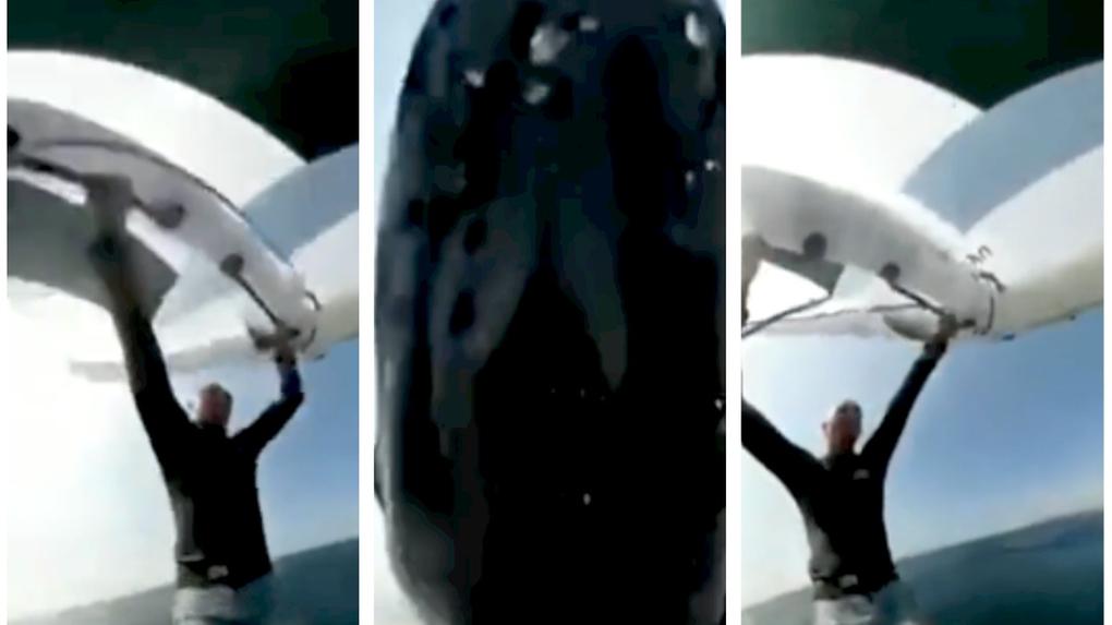 Baleia jubarte atinge praticante de wingsurf na Austrália