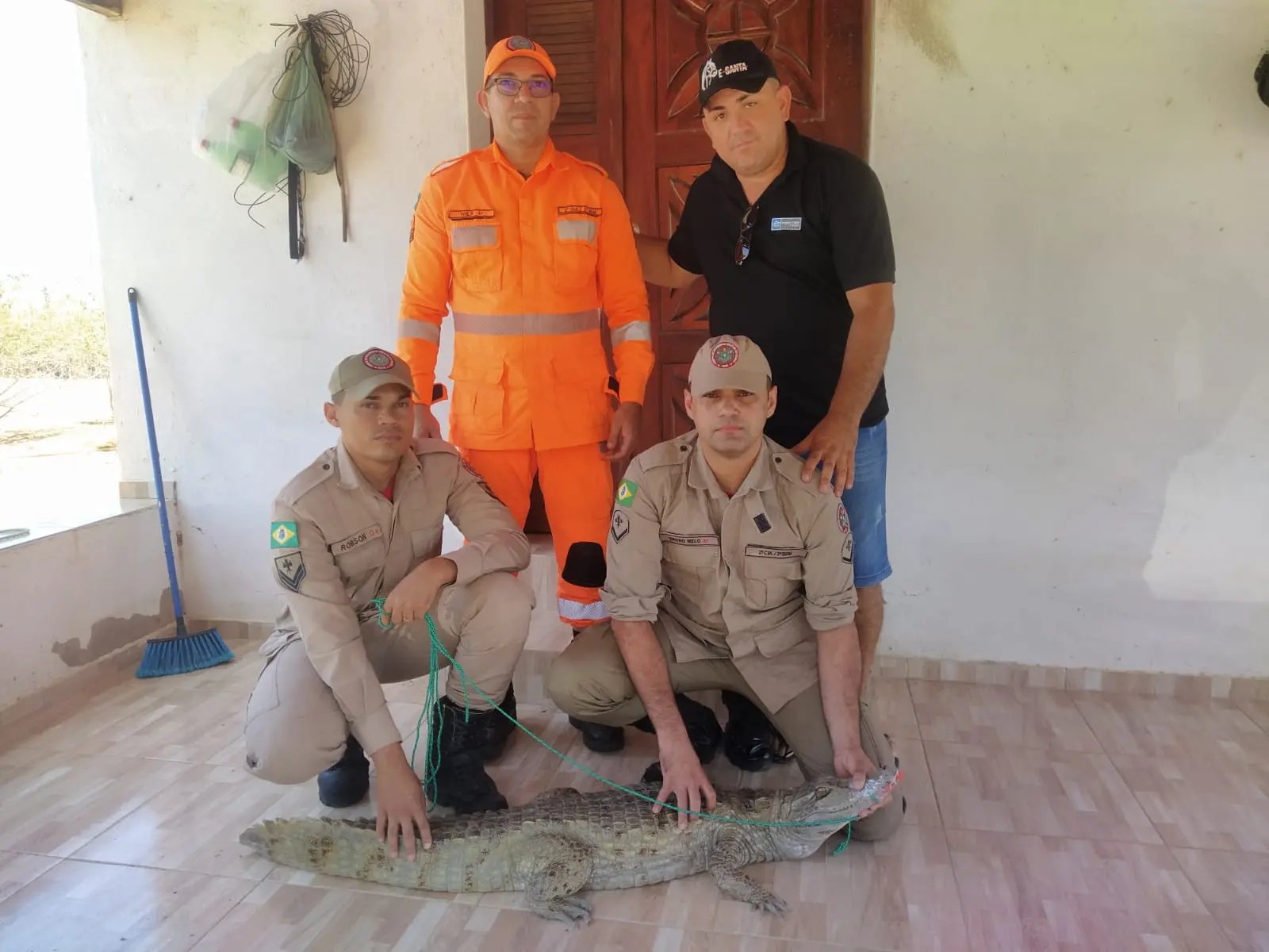 Jacaré contido por bombeiros do Ceará