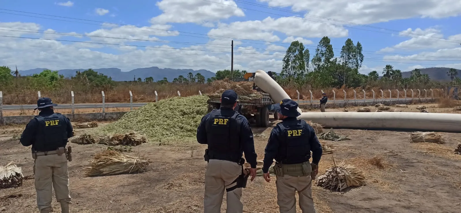 Os trabalhadores foram resgatados em Pacujá, no interior do Ceará