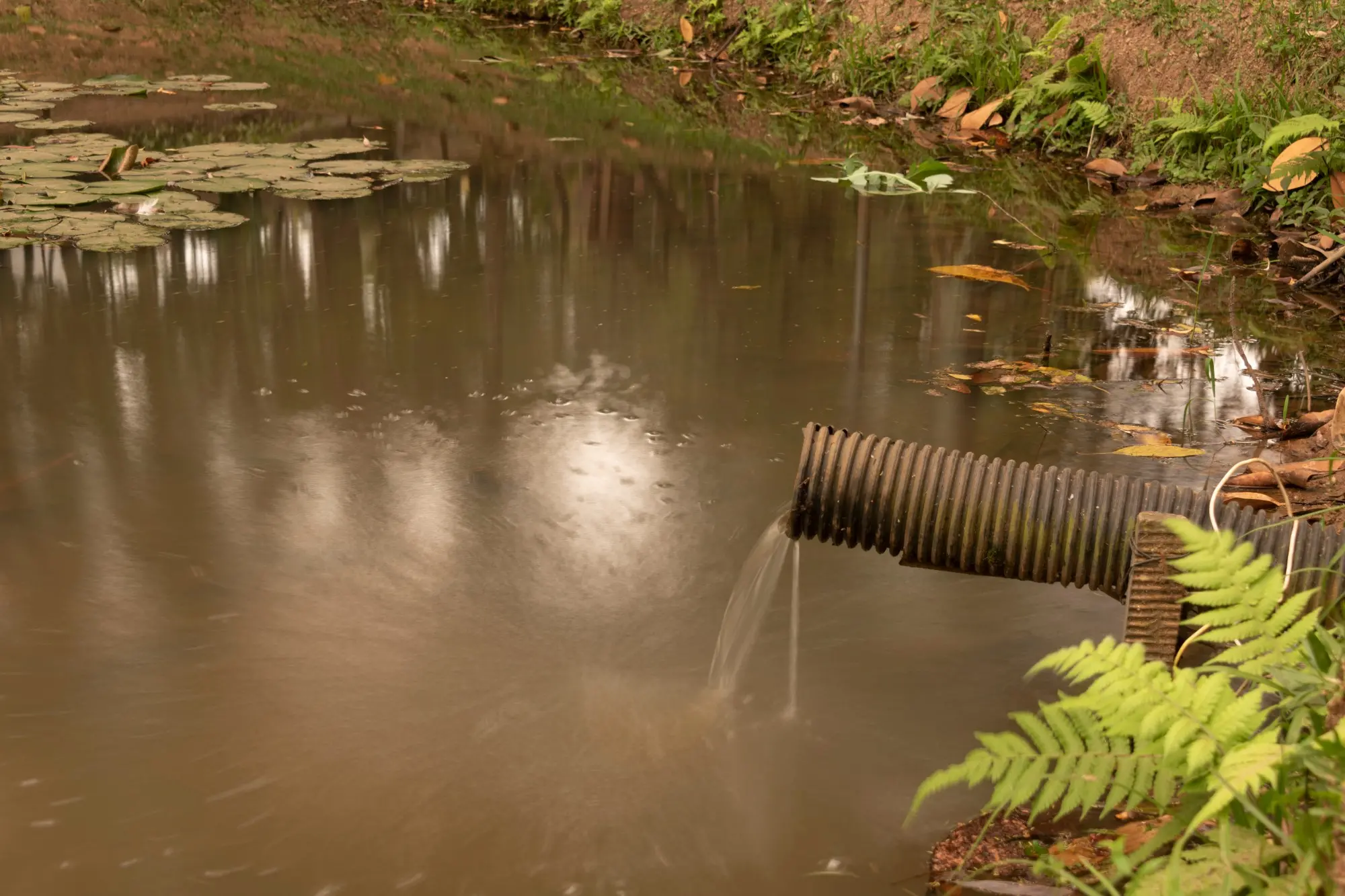 Quase metade dos lares do Ceará não têm acesso à rede de coleta de esgoto