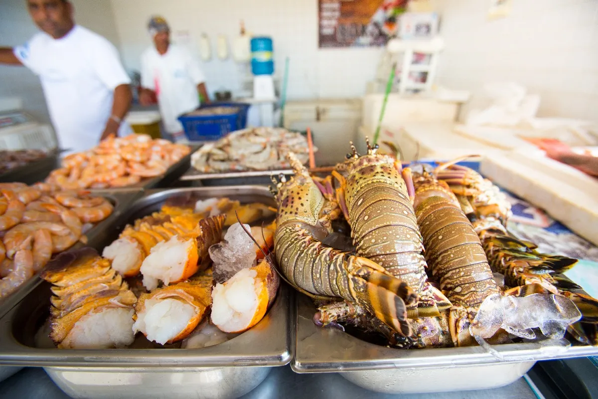 Departamento de Pesca e Aquicultura de Icapuí informa que, de 2017 até 2021, a produção cresceu de 490 para 950 toneladas no período regular