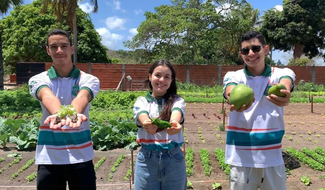 Com a aplicação do produto desenvolvido pelos alunos, vegetais podem ter vida útil duplicada