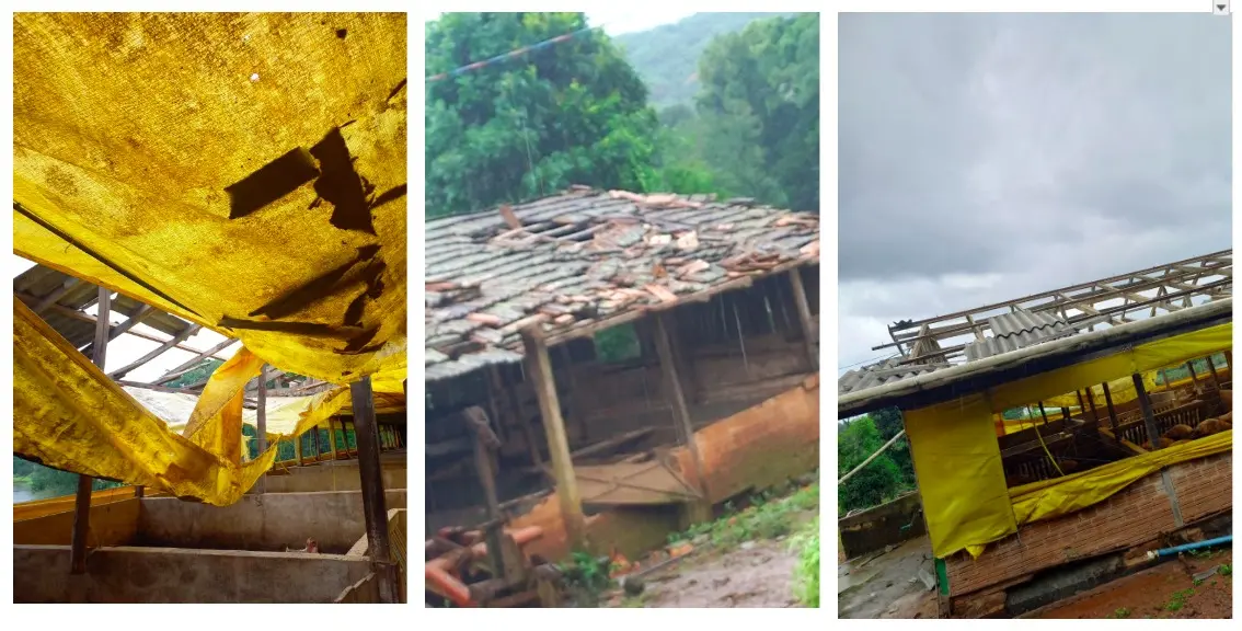 Montagem de danos causados por tornado no oeste de Santa Catarina