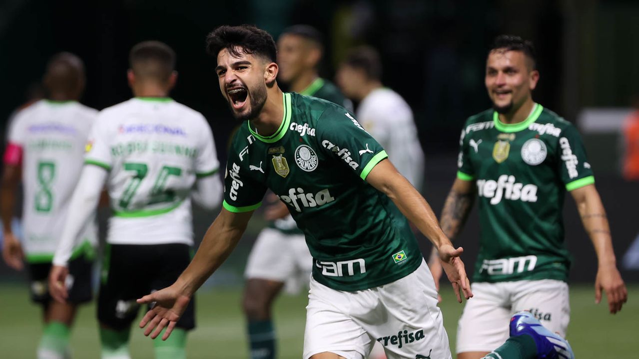 Deu Verdão! Veja as melhores fotos do título paulista do Palmeiras