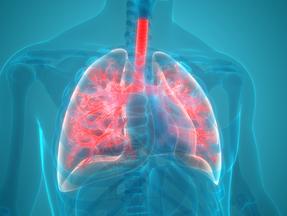 Mycoplasma pneumoniae nos pulmões