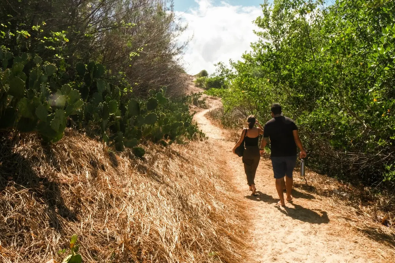 Trilha dura cerca de uma hora e meia e pode ser feita por pessoas de qualquer idade