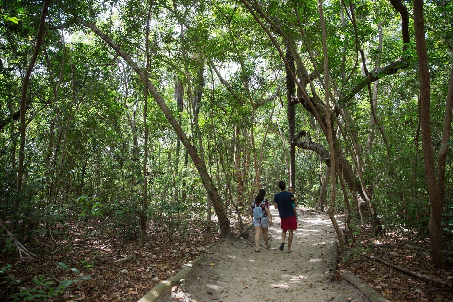 Floresta do Curió possui trilha bem sinalizada que permite contemplação da natureza