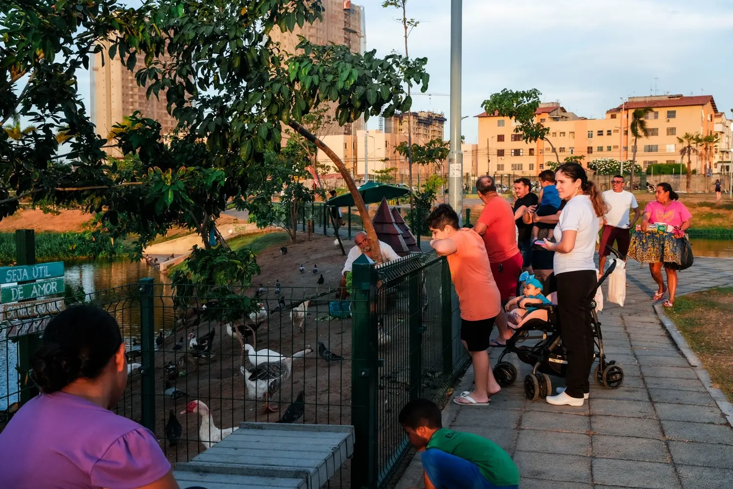 Entorno da lagoa fica movimentado no fim de tarde, quando famílias se reúnem para observar os animais com as crianças